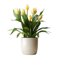 AI generated Tulip Flowers in White Pot Isolated on Transparent Background. Generative Ai png