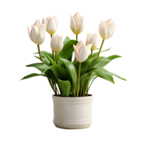 AI generated Tulip Flowers in White Pot Isolated on Transparent Background. Generative Ai png