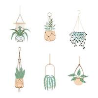 Vector set of decorative hanging houseplants isolated on white background. Bundle of trendy macrame hangers for plants growing in pots