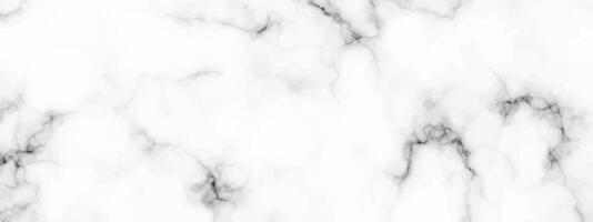 White marble texture background vector