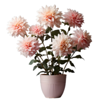 ai généré dahlia dans une pot isolé sur transparent Contexte. magnifique printemps fleurs. génératif ai png