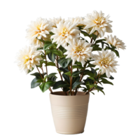 ai généré dahlia dans une pot isolé sur transparent Contexte. magnifique printemps fleurs. génératif ai png