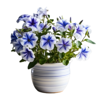 ai genererad blå petunia blommor i pott isolerat på transparent bakgrund. generativ ai png