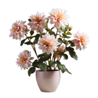 ai genererad dahlia i en pott isolerat på transparent bakgrund. skön vår blommor. generativ ai png