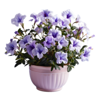 ai gegenereerd blauw petunia bloemen in pot geïsoleerd Aan transparant achtergrond. generatief ai png