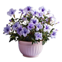 ai genererad blå petunia blommor i pott isolerat på transparent bakgrund. generativ ai png