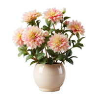 ai genererad dahlia i en pott isolerat på transparent bakgrund. skön vår blommor. generativ ai png