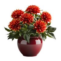 ai généré dahlia dans une pot isolé sur transparent Contexte. magnifique printemps fleurs. génératif ai png