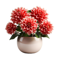 ai généré dahlia dans une pot isolé sur transparent Contexte. magnifique printemps fleurs. génératif ai png