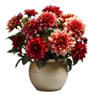 ai genererad dahlia i en pott isolerat på transparent bakgrund. skön vår blommor. generativ ai png