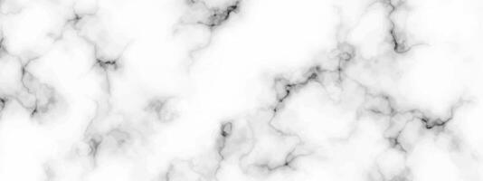 White marble texture background vector