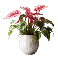 AI generated Exotic Red and Green Caladium Plant in Pot. Caladium Leaves. Generative Ai png