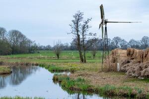 moor landscape with canals, reeds and shrubs photo
