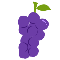 Fruta forma ilustración png