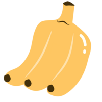 fruit vorm illustratie png