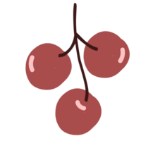 Fruta forma ilustración png