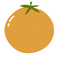 fruit vorm illustratie png