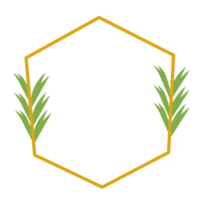 Botanical golden frame png