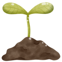 Green leaf with Earth day png