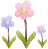 bunt Gänseblümchen Blume png