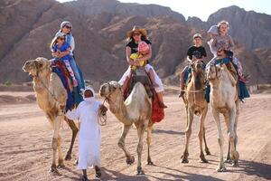 Sharm El Sheikh, Egypt - March 18, 2020 Tourists riding camels in the Egypt desert. photo