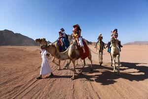 Sharm El Sheikh, Egypt - March 18, 2020 Tourists riding camels in the Egypt desert. photo