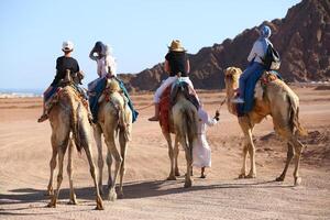 Sharm El Sheikh, Egypt - March 18, 2020 Tourists riding camels in the Egypt desert. photo