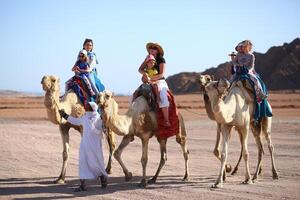 Sharm El Sheikh, Egypt - March 18, 2020 Tourists riding camels in the Egypt desert. photo