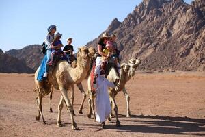 Sharm El Sheikh, Egypt - March 18, 2020 Tourists riding camels in the Egypt desert. photo