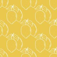 Fruity citrus background vector