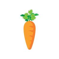 carrot icon vector