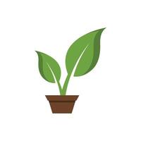 planta icono diseño vector