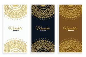 luxury mandala decorative card set in golden colors vector