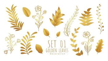 set of premium golden decoration leaves vector