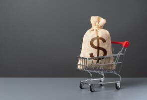 Shopping cart with big dollar money bag. Extra income. Win money for shopping. Purchasing power of buyers. Trade and retail. Taxes. Consumer prices. Import of products. photo