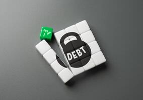 Debt write-off through court. Exacerbating circumstances. Provide temporary relief. Refinancing and restructuring. Protection of debtors from unfair interest charges. photo