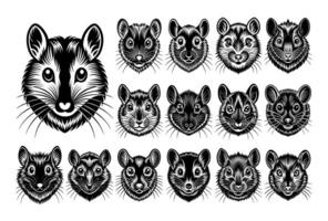 AI generated Hand drawn detailed hamster face design vector bundle