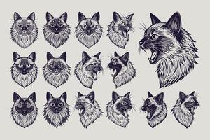 AI generated Set of detailed meowing birman cat head design vector