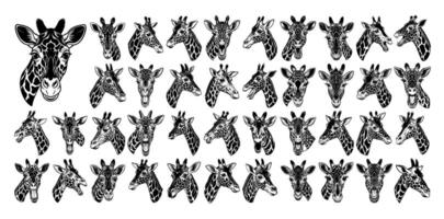 AI generated Bundle of wildlife giraffe head illustration design vector