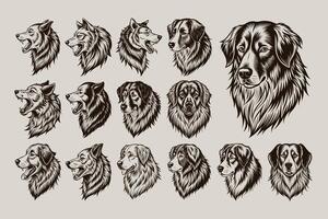 AI generated Profile side view of great pyrenees dog head illustration design bundle vector