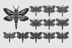 AI generated Set of flat dragonfly insect illustration design vector