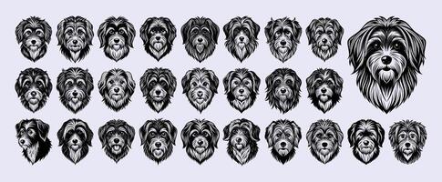 AI generated Front view hand drawn havanese dog head illustration design set vector