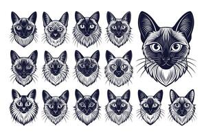 AI generated Front view of hand drawing balinese cat head illustration design bundle vector