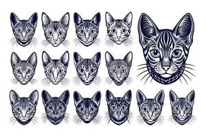 AI generated Front view of cute burmilla cat head illustration design set vector