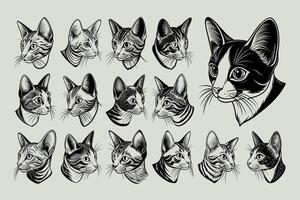 AI generated Realistic cute side view colorpoint shorthair cat head illustration design set vector