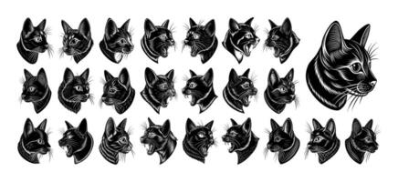 AI generated Collection of profile side view bombay cat head design vector