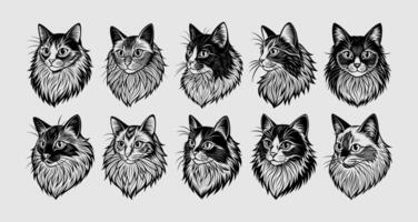 AI generated Set of side view cute ragdoll cat head illustration design vector