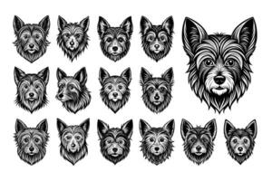 AI generated Front view Yorkshire terrier dog head illustration design bundle vector