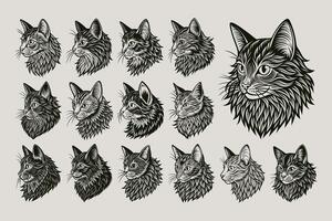 AI generated Collection of drawing side view LaPerm cat head illustration design vector