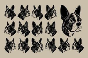 AI generated Side view of flat boston terrier dog head tshirt design set vector